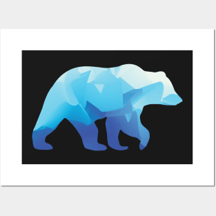 Bear Glacier Posters and Art